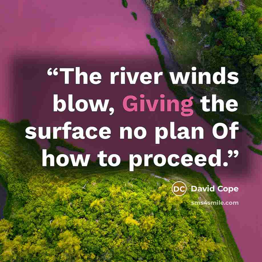 “The river winds blow, Giving the surface no plan Of how to proceed.” quote by David Cope