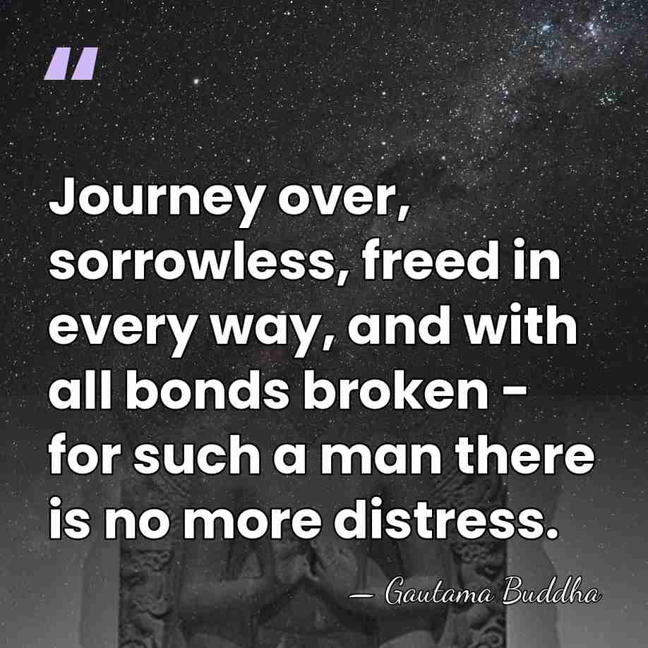 Journey over, sorrowless, freed in every way, and with all bonds broken&hellip; - Gautama Buddha