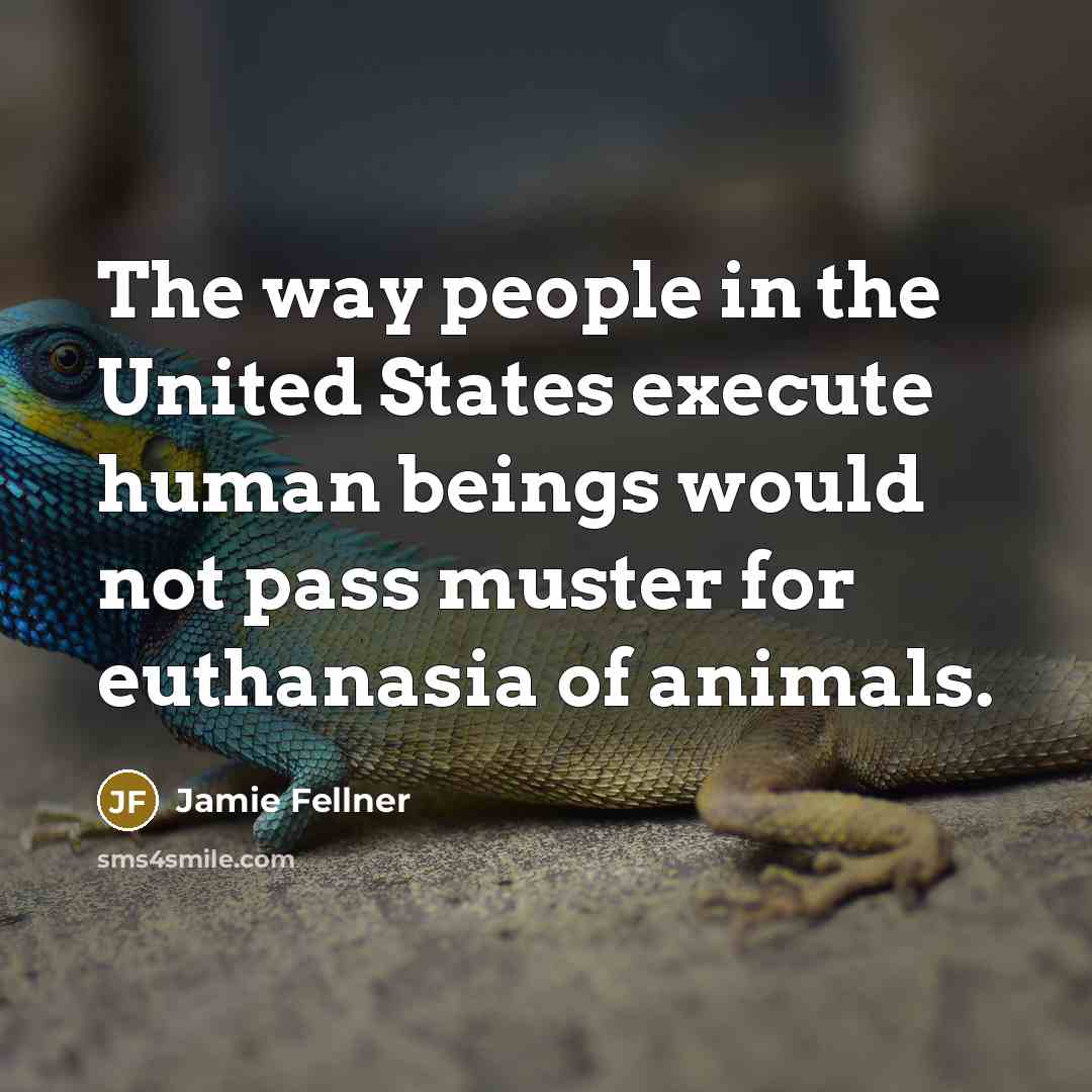 “The way people in the United States execute human beings…” quote by Jamie Fellner