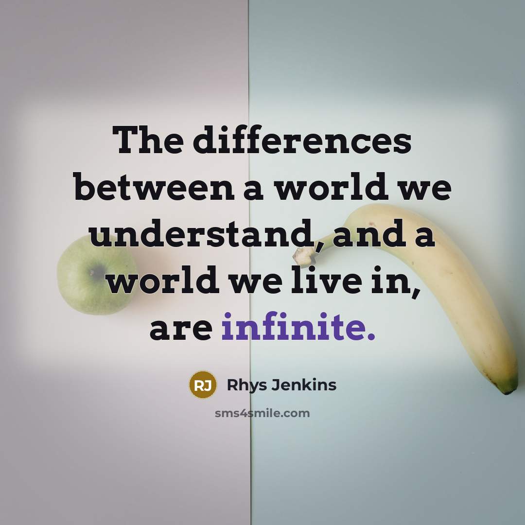 “The differences between a world we understand, and a world we live in, are infinite.” quote by Rhys Jenkins