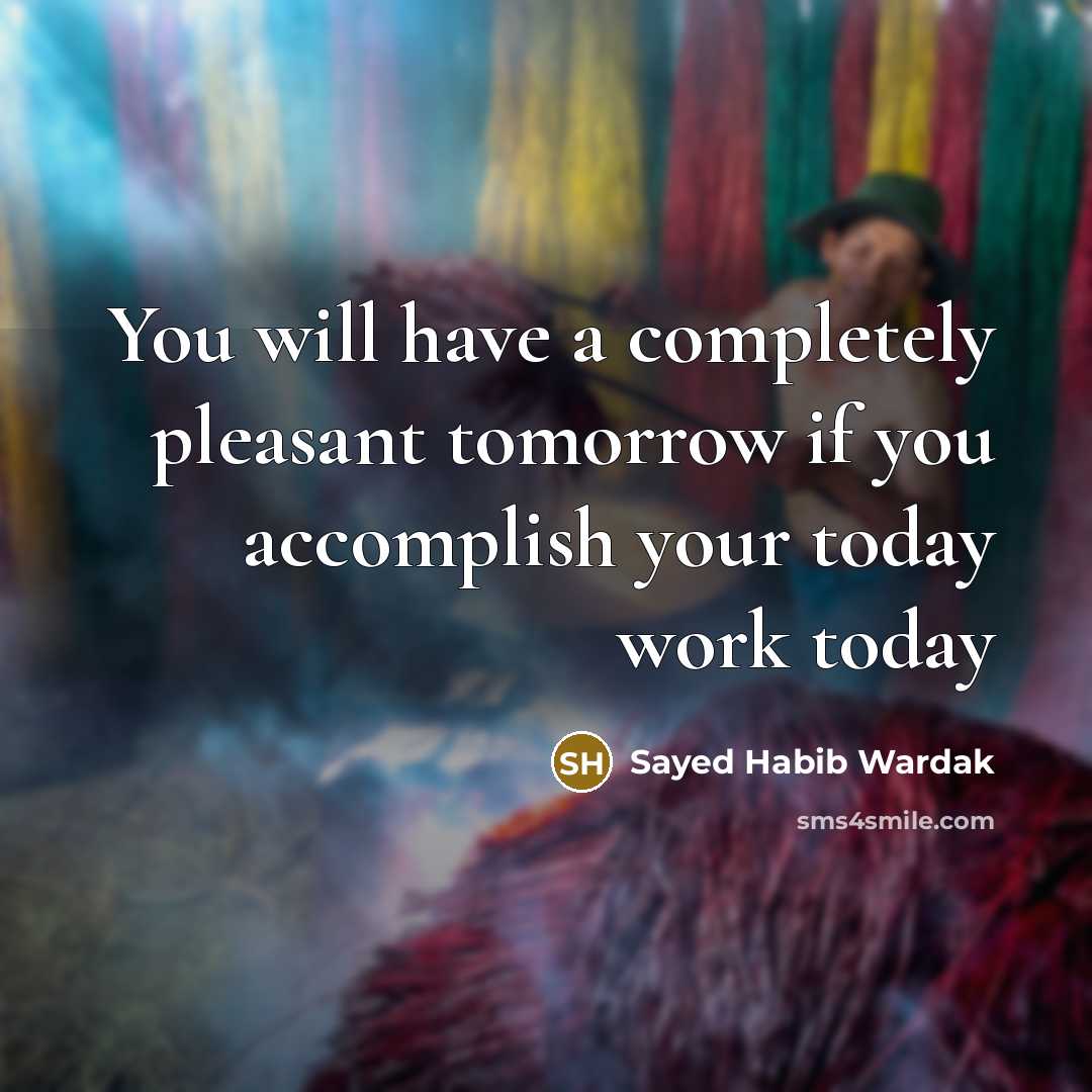 “You will have a completely pleasant tomorrow if you accomplish…” quote by Sayed Habib Wardak