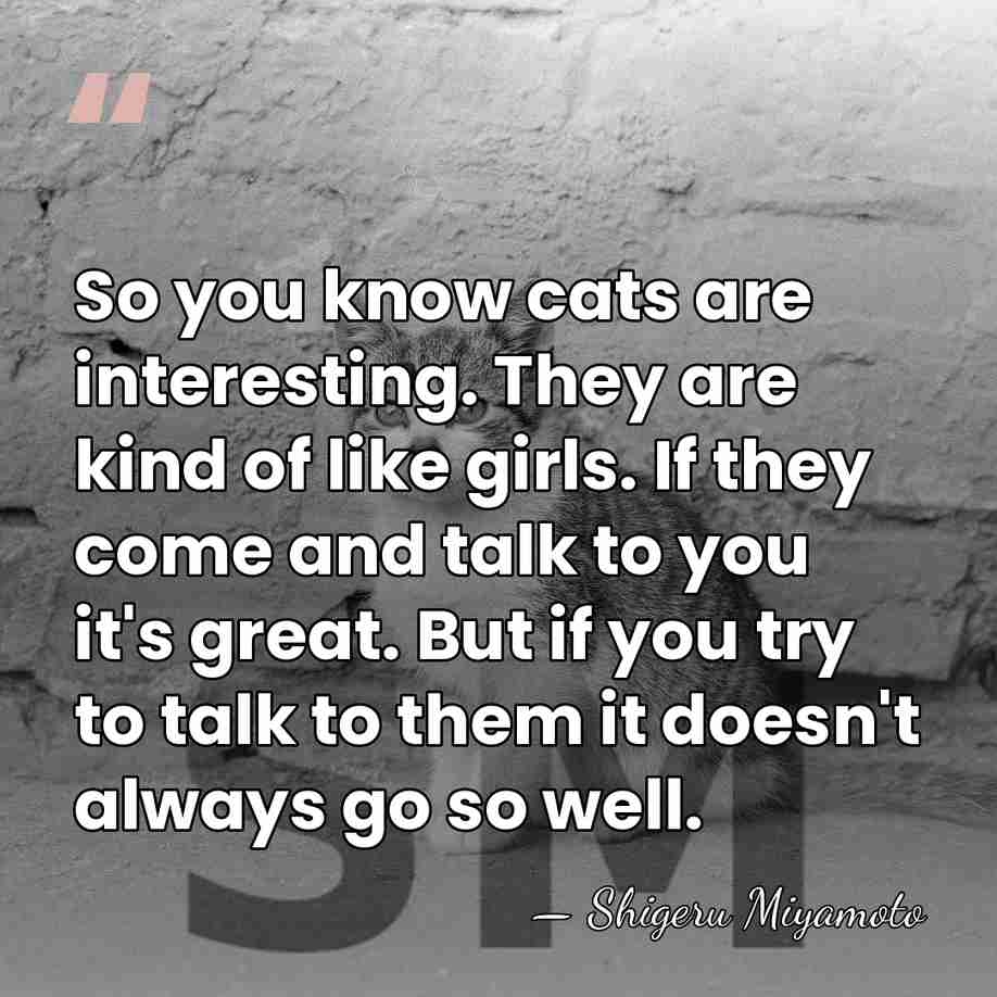 So you know cats are interesting. They are kind of like girls.&hellip; - Shigeru Miyamoto