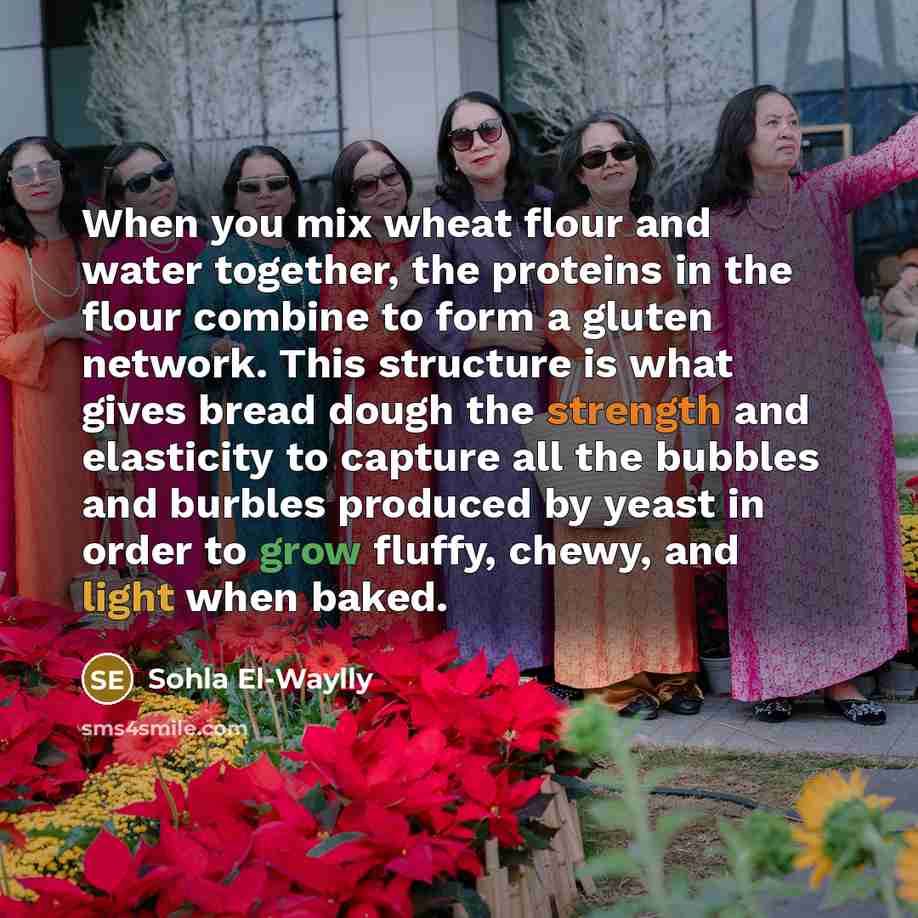 “When you mix wheat flour and water together, the proteins…” quote by Sohla El-Waylly