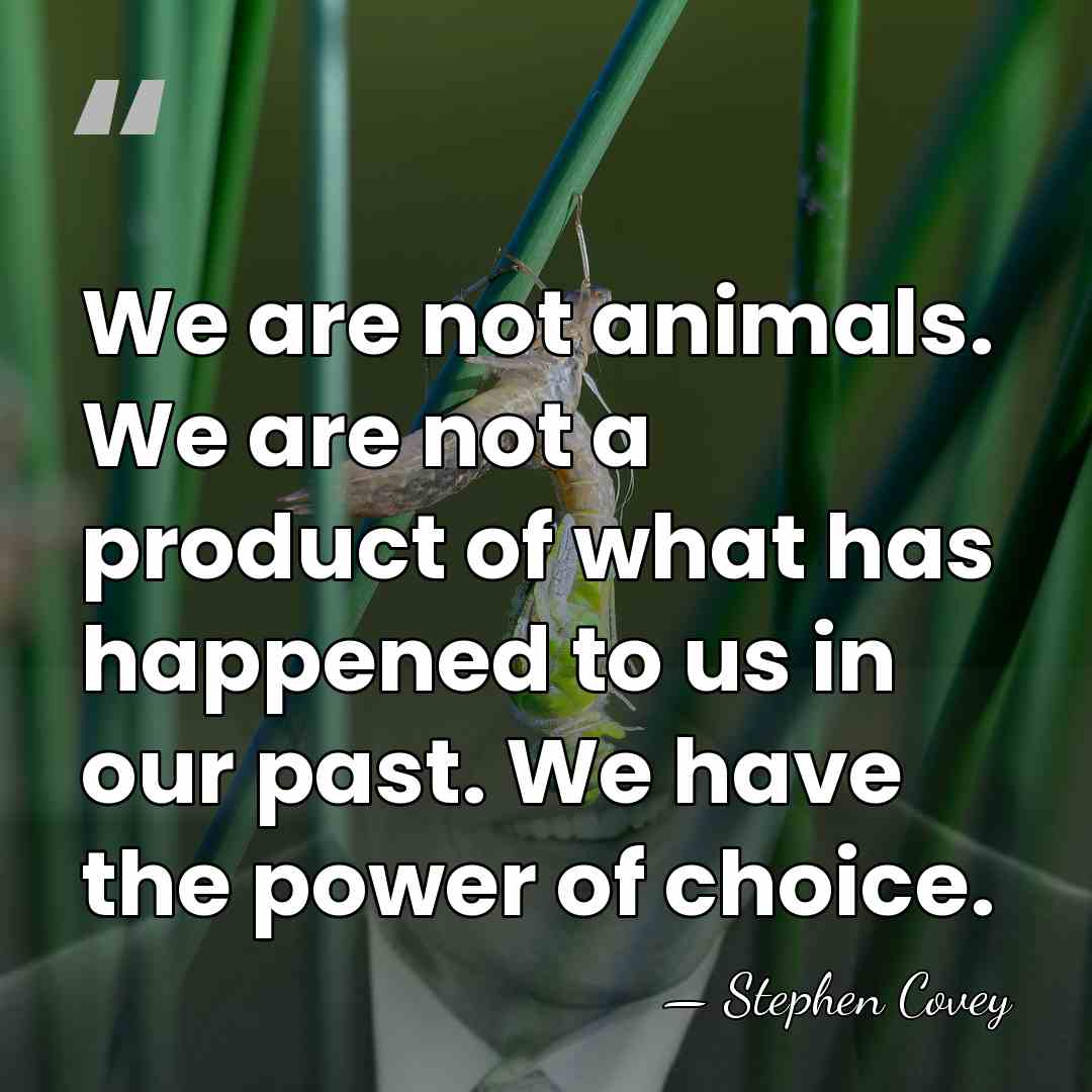 We are not animals. We are not a product of what has&hellip; - Stephen Covey