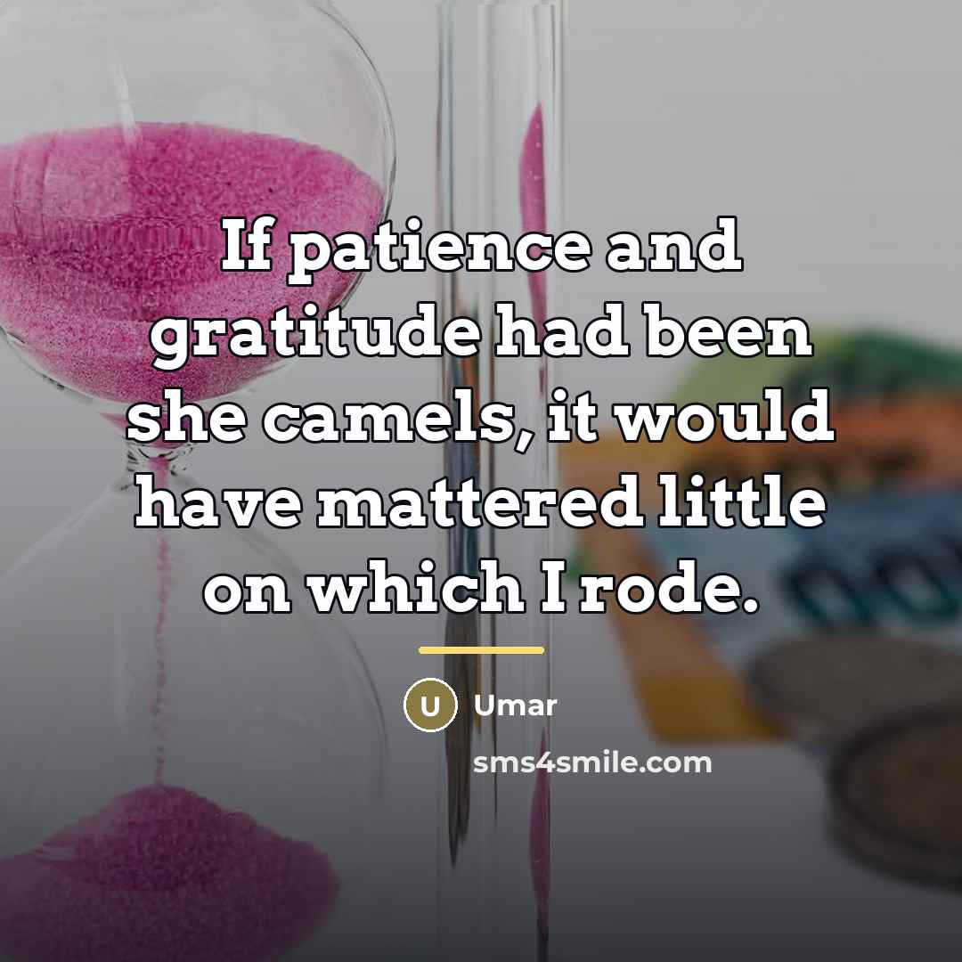 “If patience and gratitude had been she camels, it would…” quote by Umar