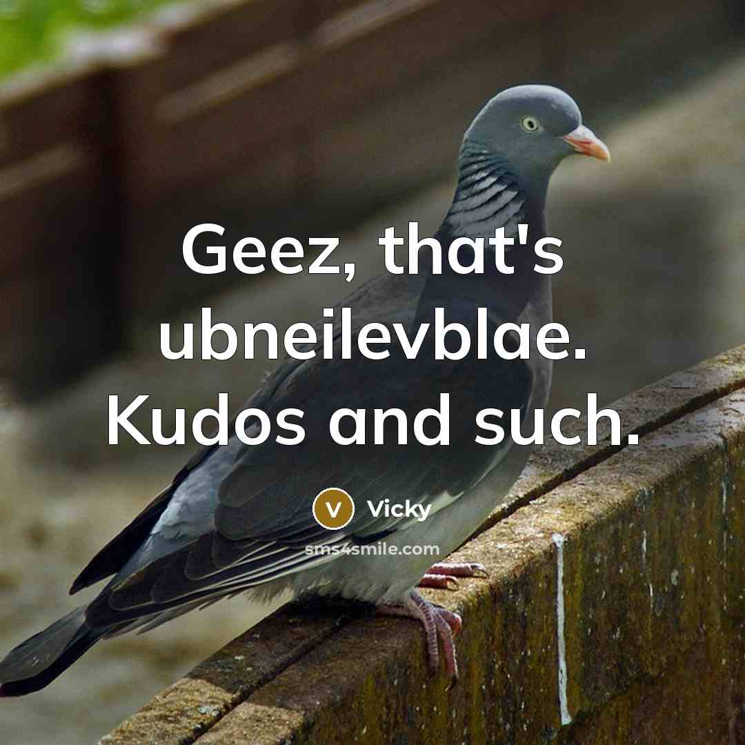 “Geez, that's ubneilevblae. Kudos and such.…” quote by Vicky