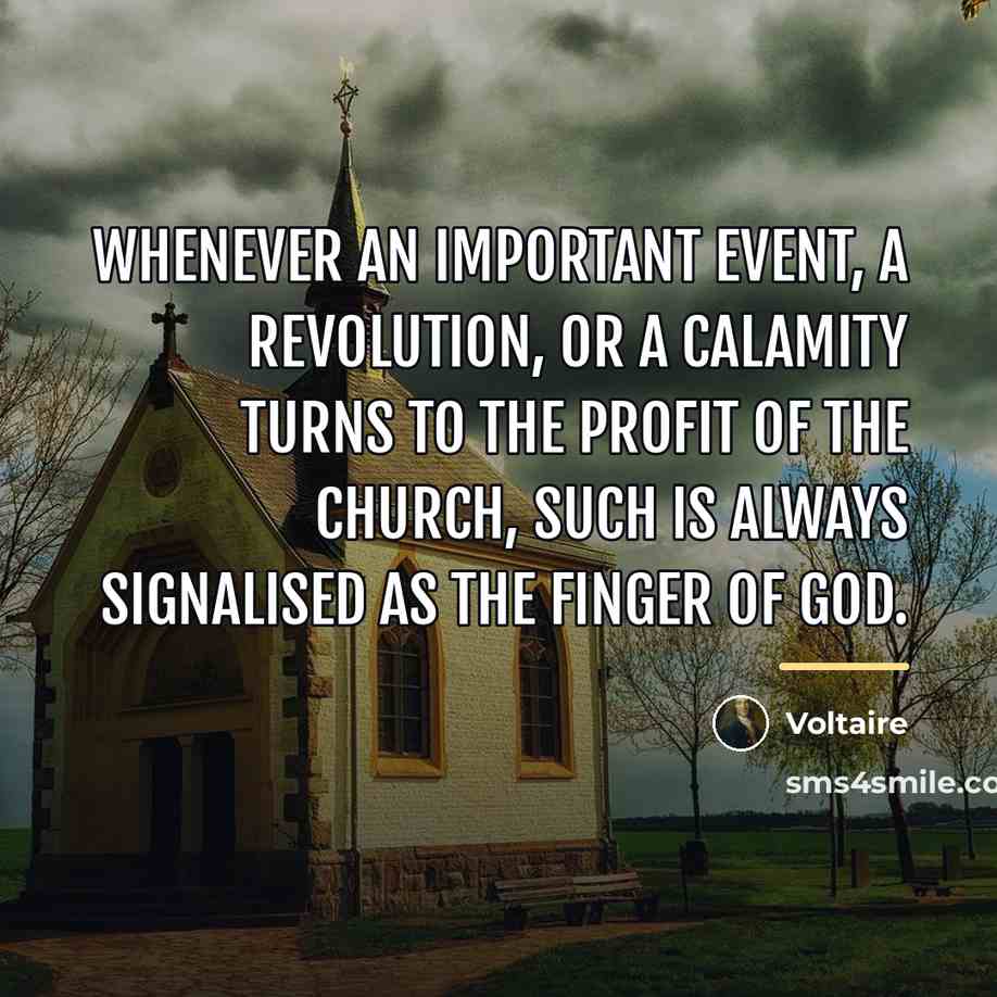 “Whenever an important event, a revolution, or a calamity turns…” quote by Voltaire
