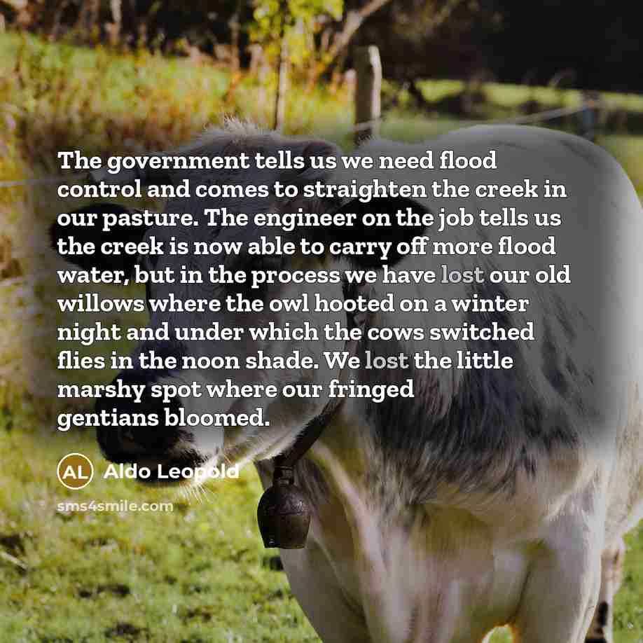 “The government tells us we need flood control and comes…” quote by Aldo Leopold