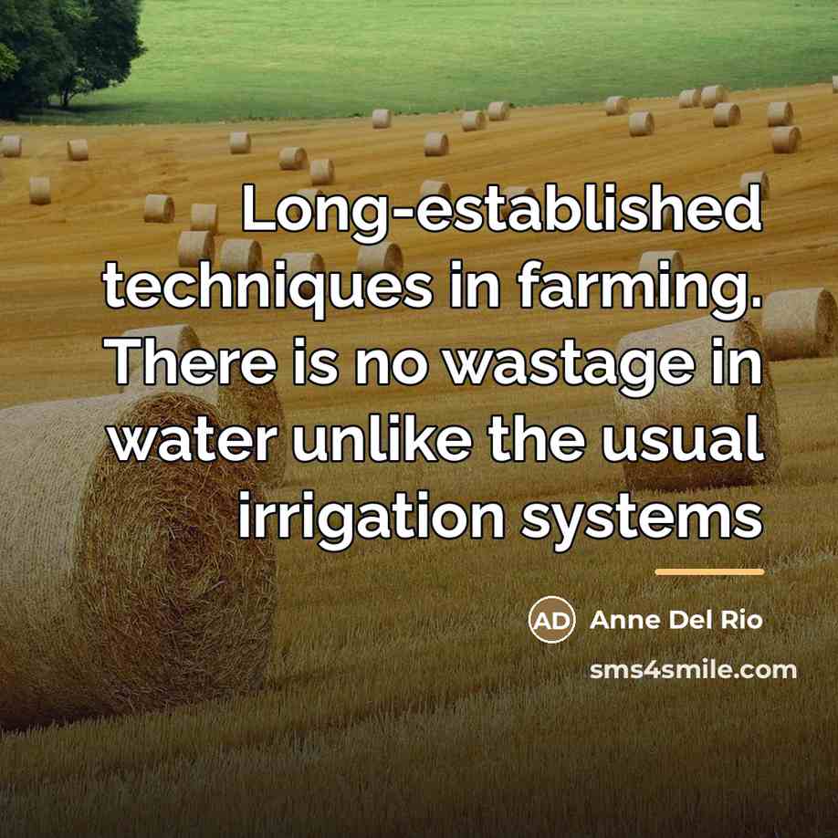 “Long-established techniques in farming. There is no wastage in water…” quote by Anne Del Rio