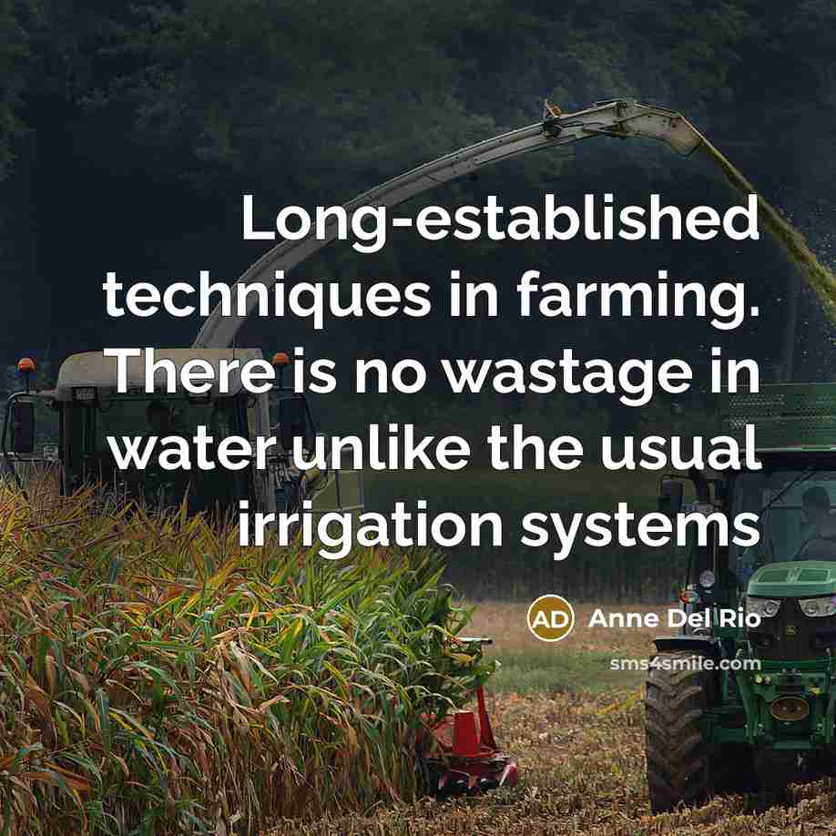 “Long-established techniques in farming. There is no wastage in water unlike the usual irrigation systems” quote by Anne Del Rio