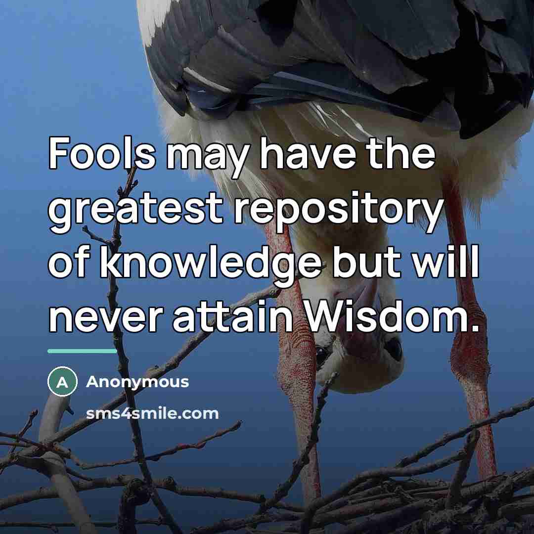 “Fools may have the greatest repository of knowledge but will…” quote by Anonymous