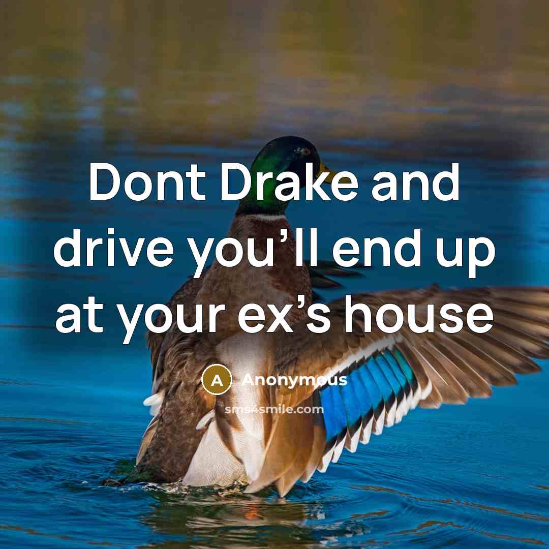 “Dont Drake and drive you'll end up at your ex's…” quote by Anonymous