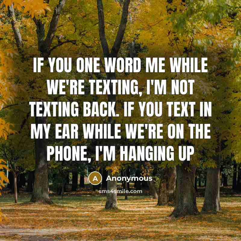 “If you one word me while we're texting, I'm not texting back. if you text in my ear while we're on the phone, I'm hanging up” quote by Anonymous