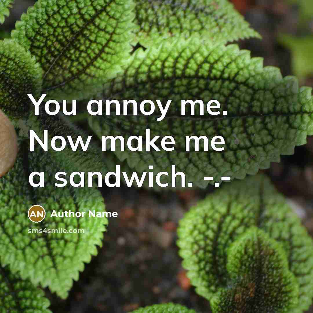 “You annoy me. Now make me a sandwich. -.-…” quote by Author Name
