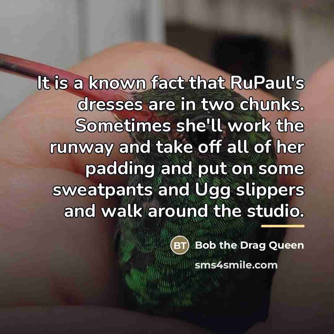 “It is a known fact that RuPaul's dresses are in…” quote by Bob the Drag Queen