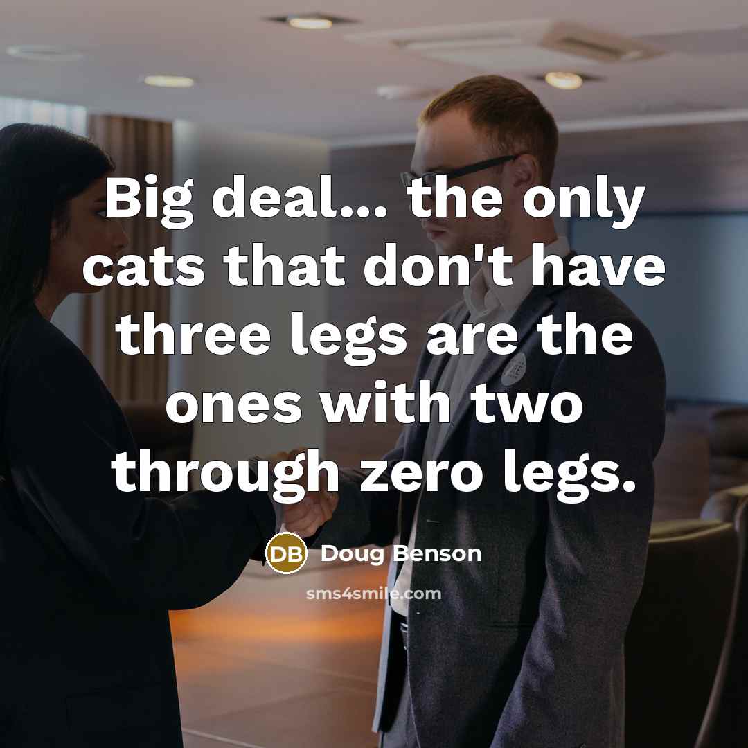 “Big deal... the only cats that don't have three legs…” quote by Doug Benson