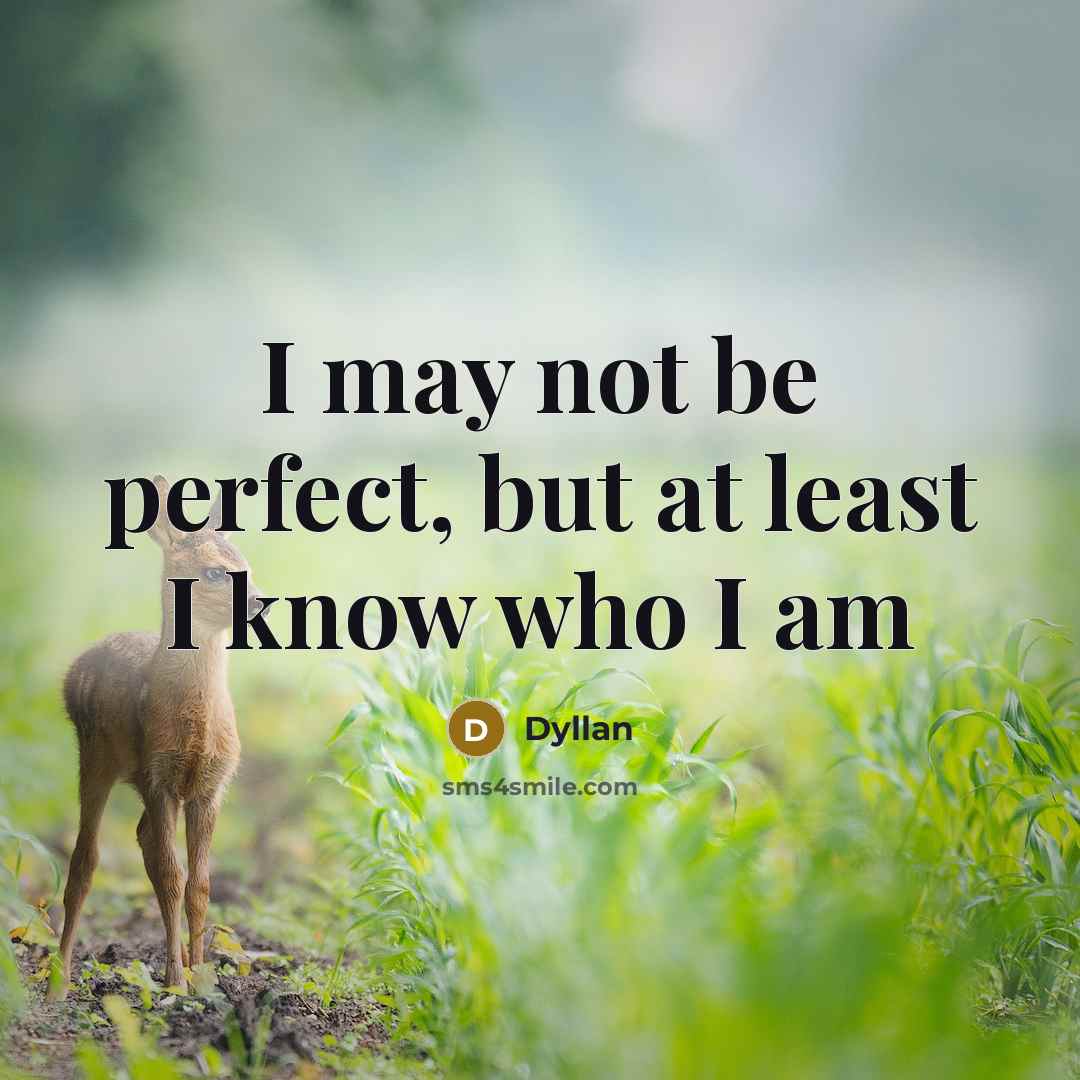 “I may not be perfect, but at least I know…” quote by Dyllan