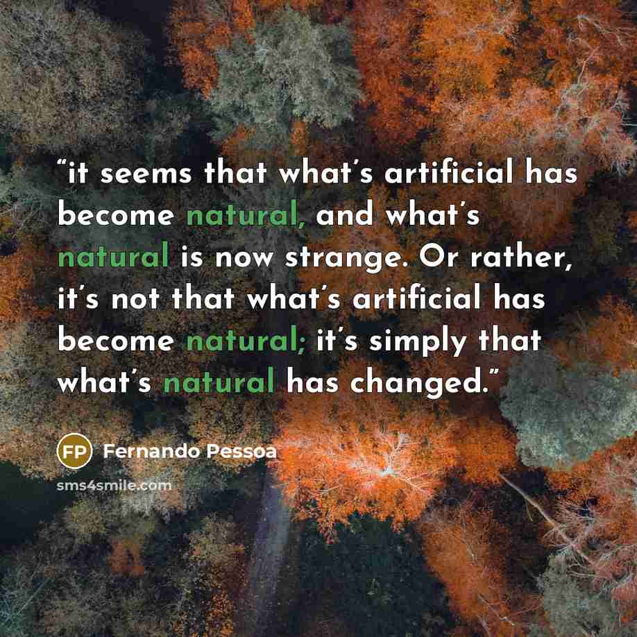 “it seems that what’s artificial has become natural, and what’s natural is now strange. Or rather, it’s not that what’s artificial has become natural; it’s simply that what’s natural has changed.” quote by Fernando Pessoa