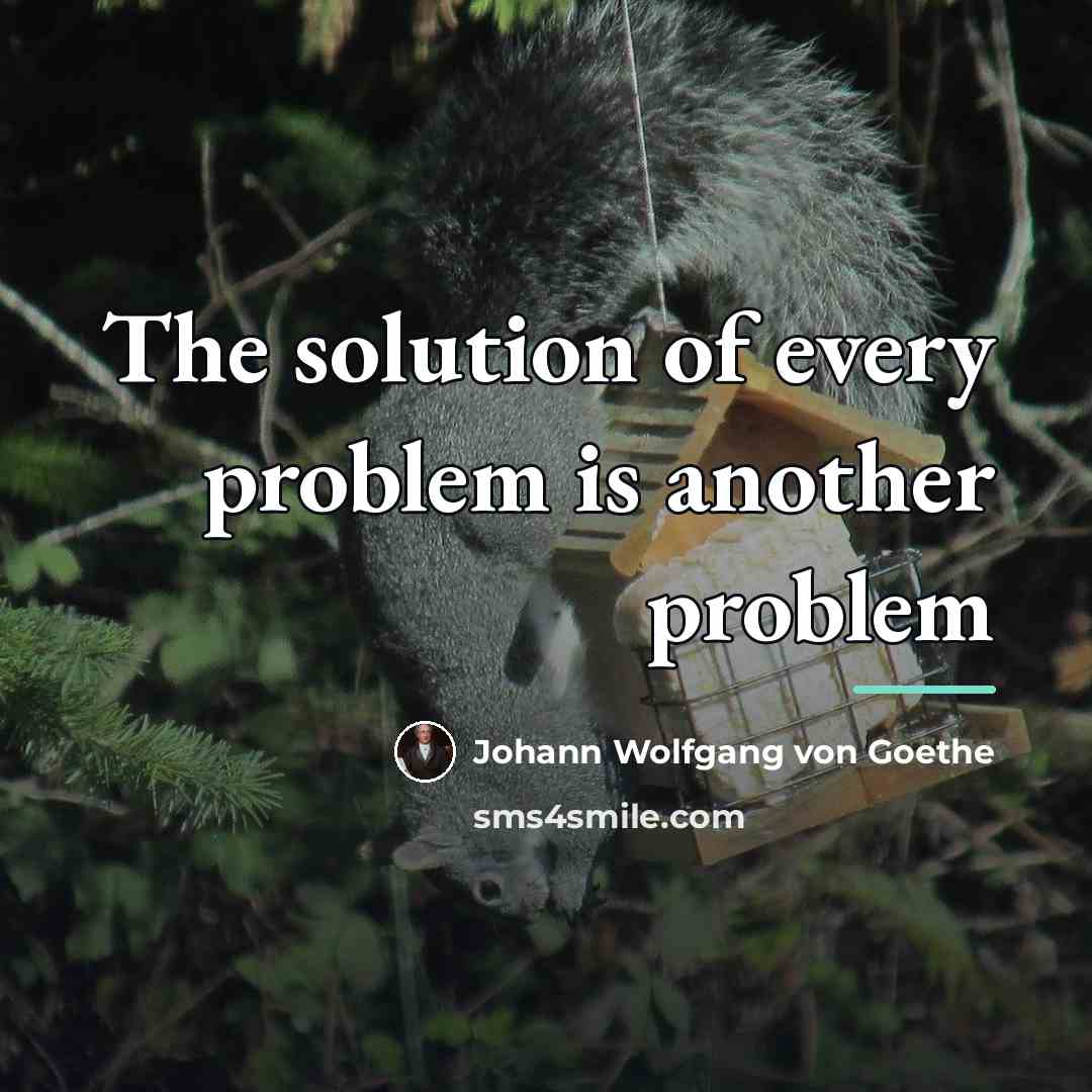 “The solution of every problem is another problem…” quote by Johann Wolfgang von Goethe