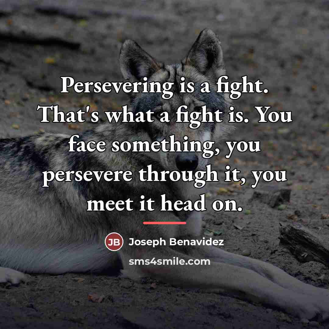 “Persevering is a fight. That's what a fight is. You…” quote by Joseph Benavidez