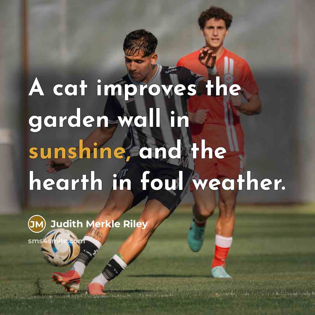 “A cat improves the garden wall in sunshine, and the…” quote by Judith Merkle Riley