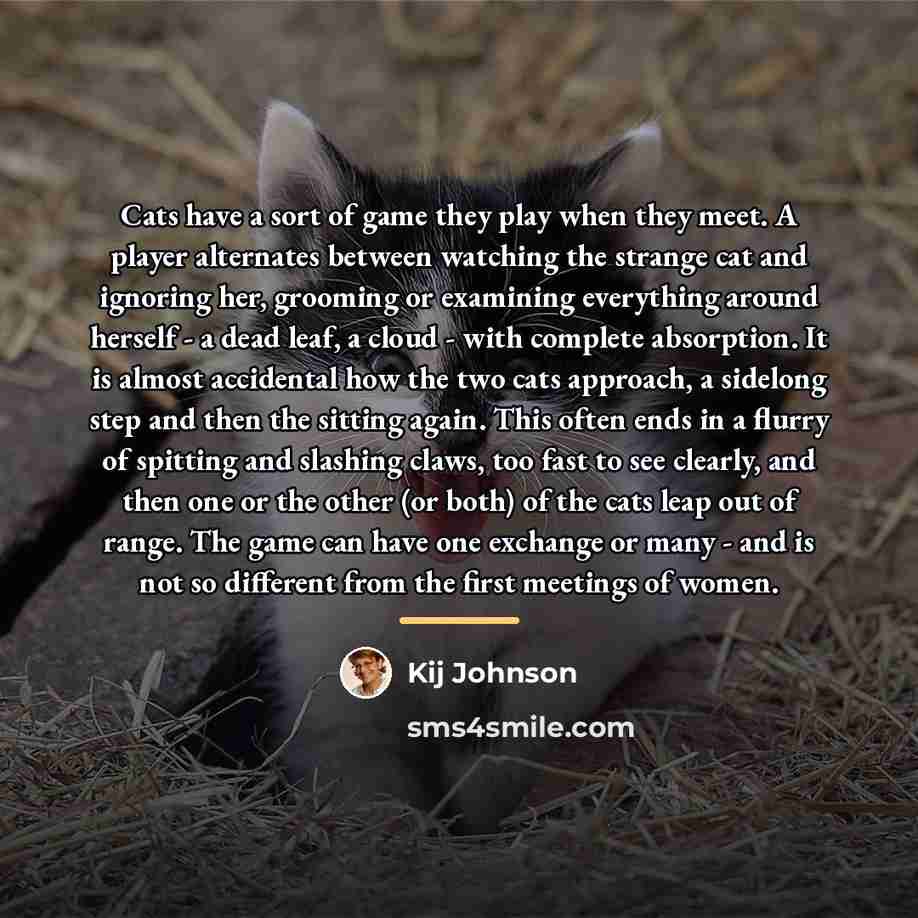 “Cats have a sort of game they play when they…” quote by Kij Johnson