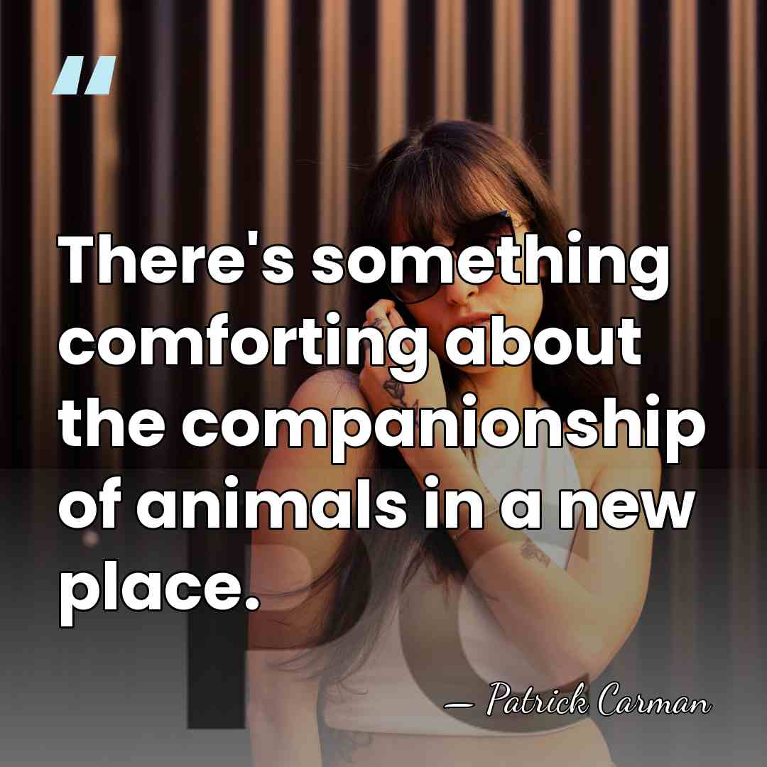 There's something comforting about the companionship of animals in a new place. - Patrick Carman