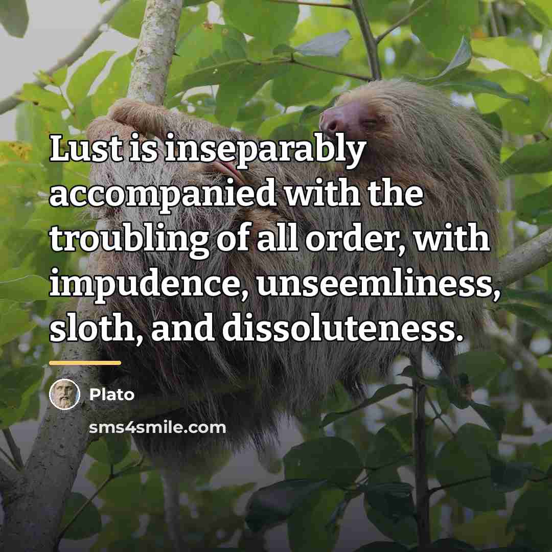 “Lust is inseparably accompanied with the troubling of all order,…” quote by Plato