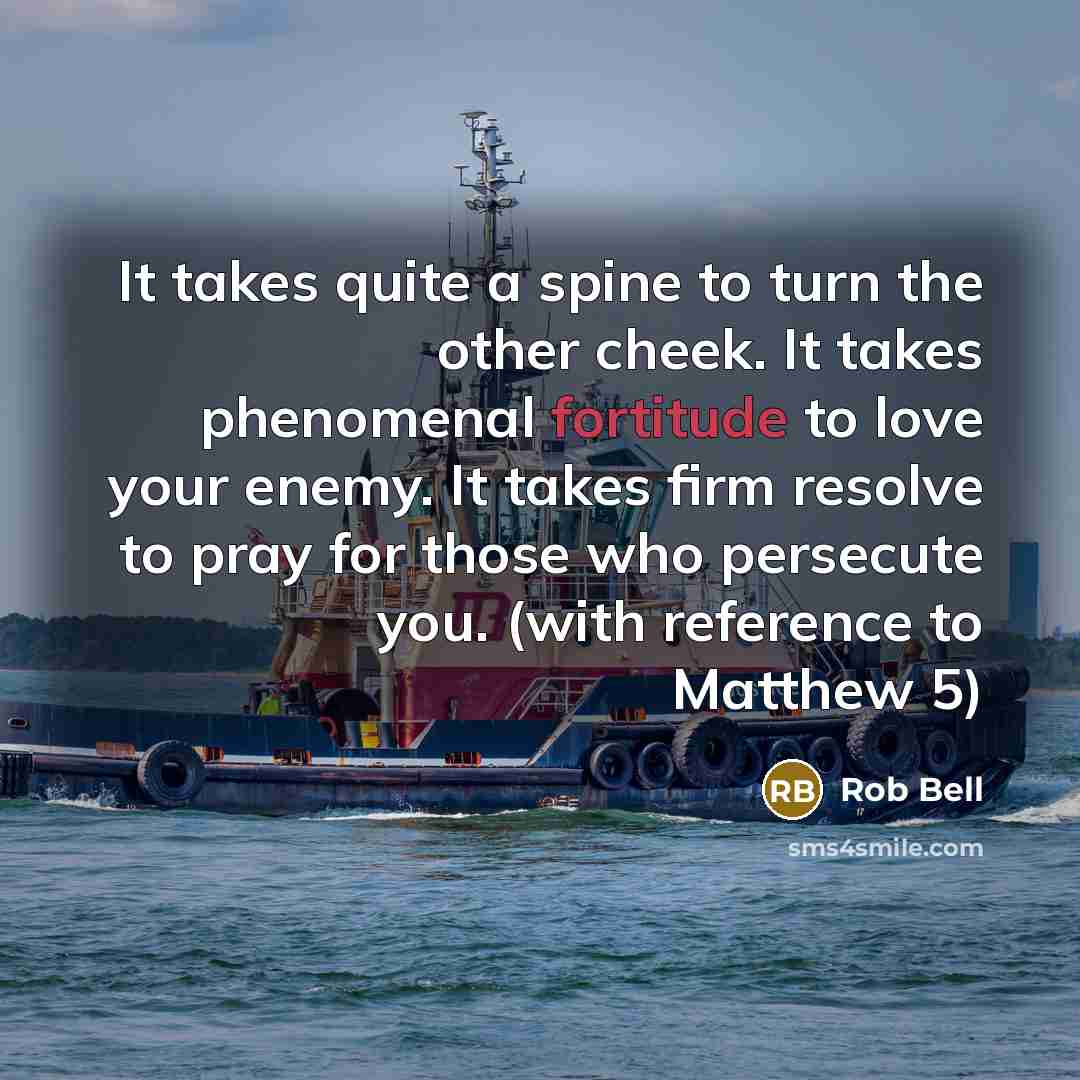 “It takes quite a spine to turn the other cheek.…” quote by Rob Bell