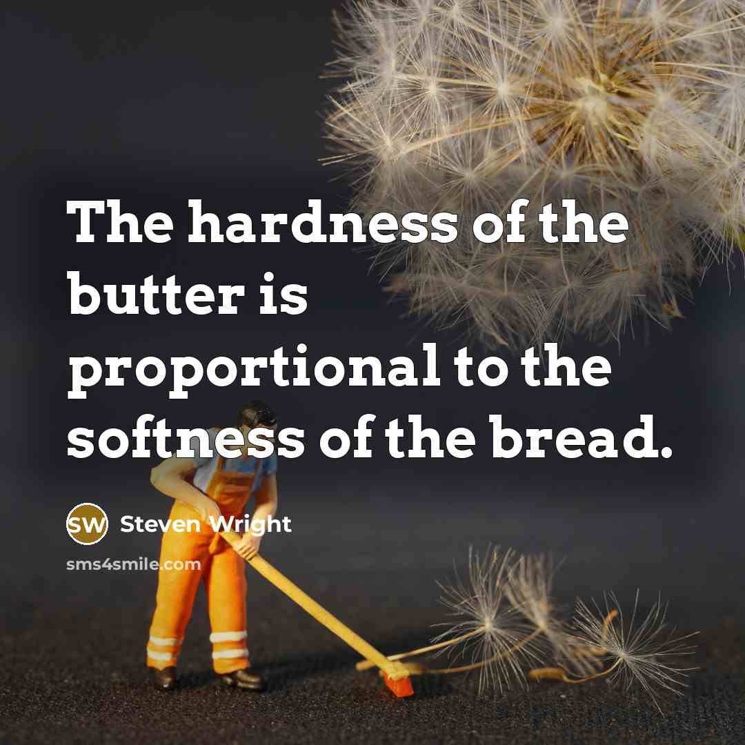 “The hardness of the butter is proportional to the softness…” quote by Steven Wright