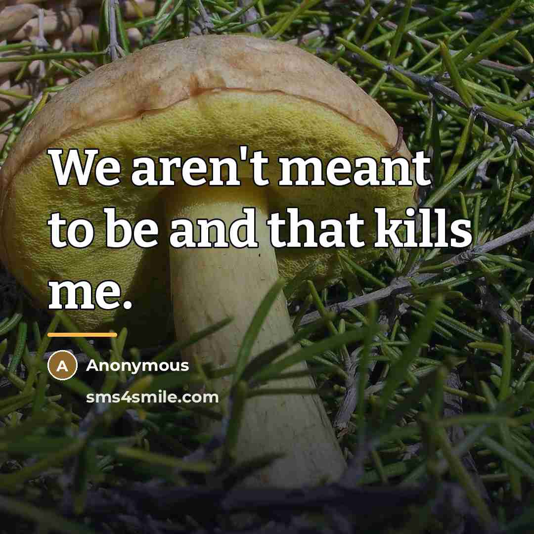 “We aren't meant to be and that kills me.…” quote by Anonymous