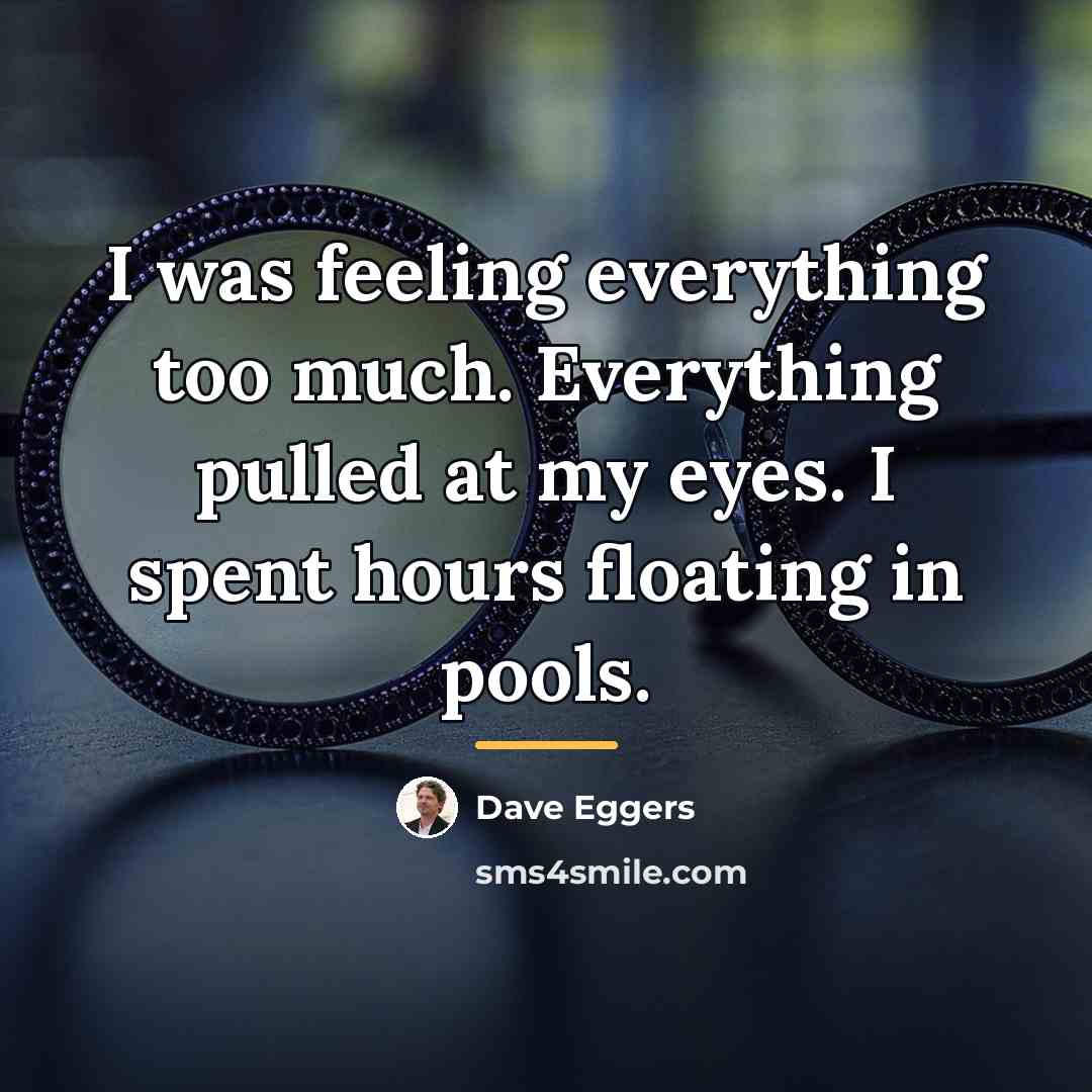 “I was feeling everything too much. Everything pulled at my…” quote by Dave Eggers