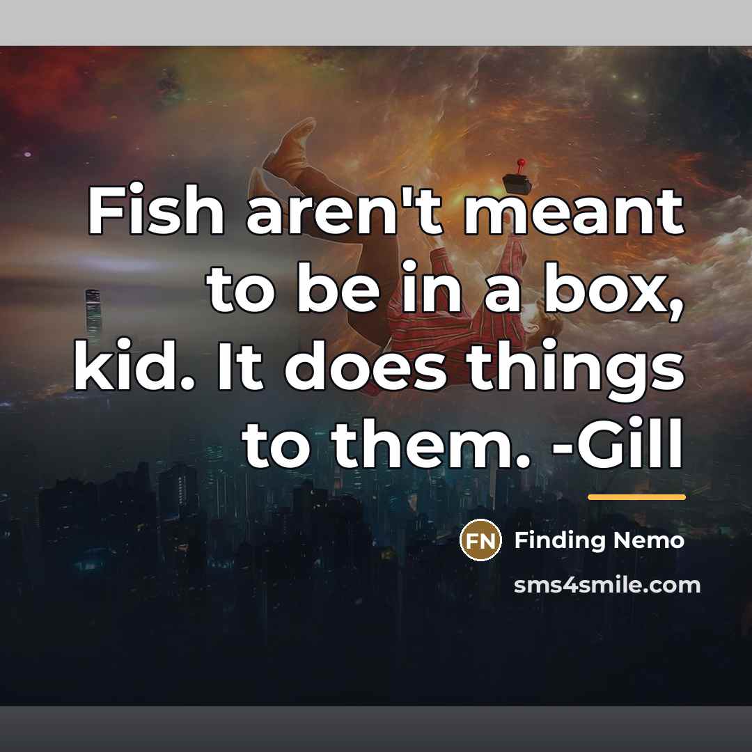 “Fish aren't meant to be in a box, kid. It…” quote by Finding Nemo