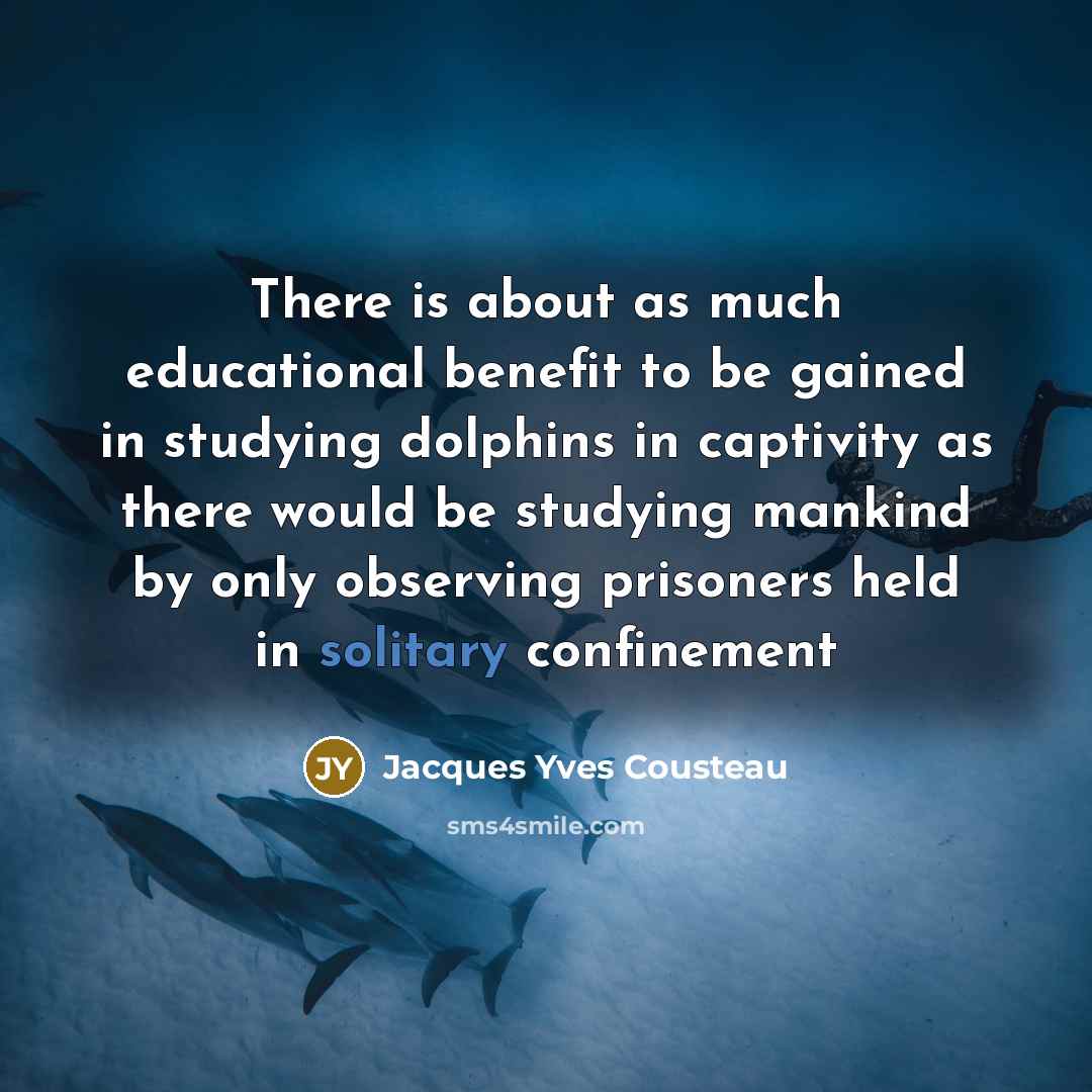 “There is about as much educational benefit to be gained…” quote by Jacques Yves Cousteau