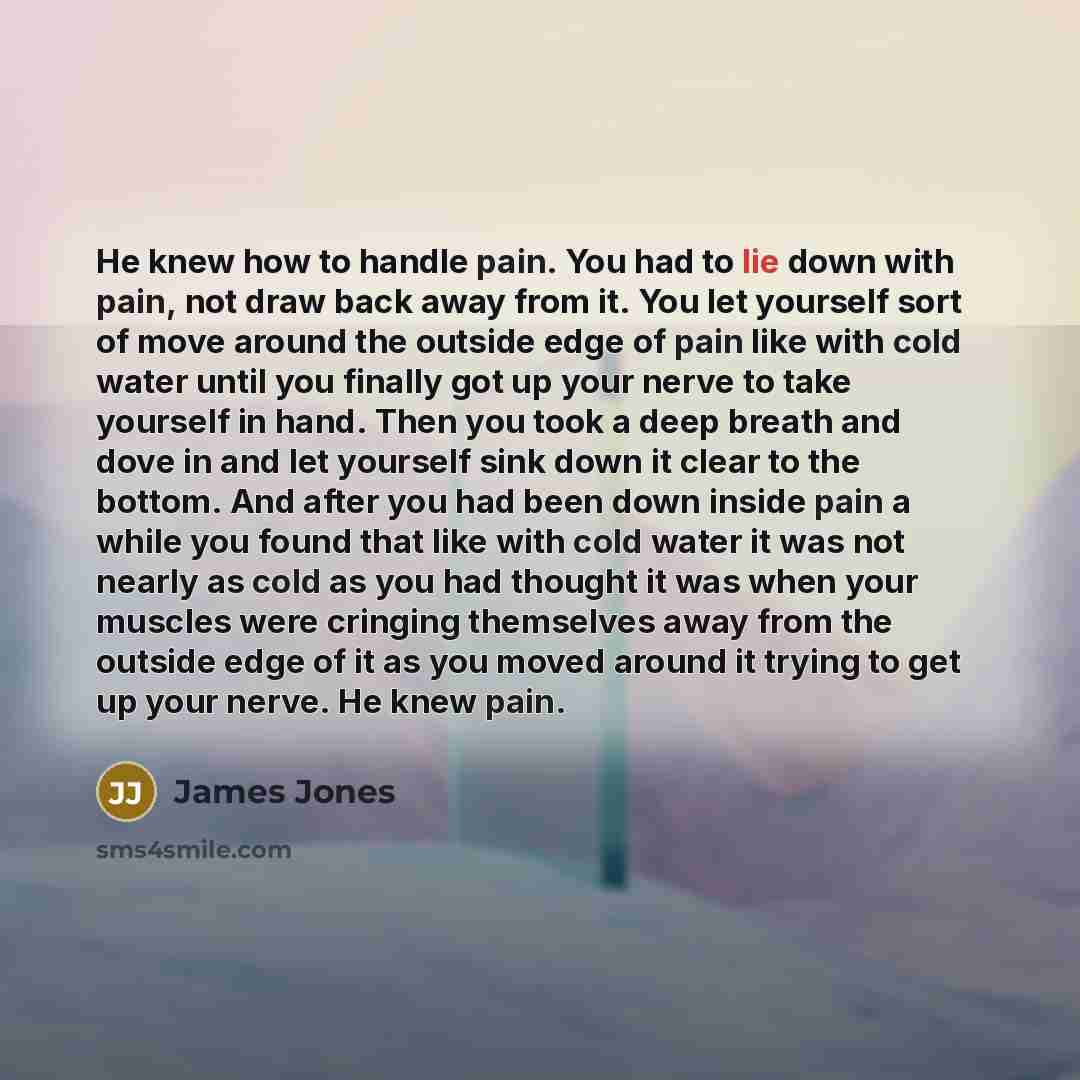 “He knew how to handle pain. You had to lie…” quote by James Jones
