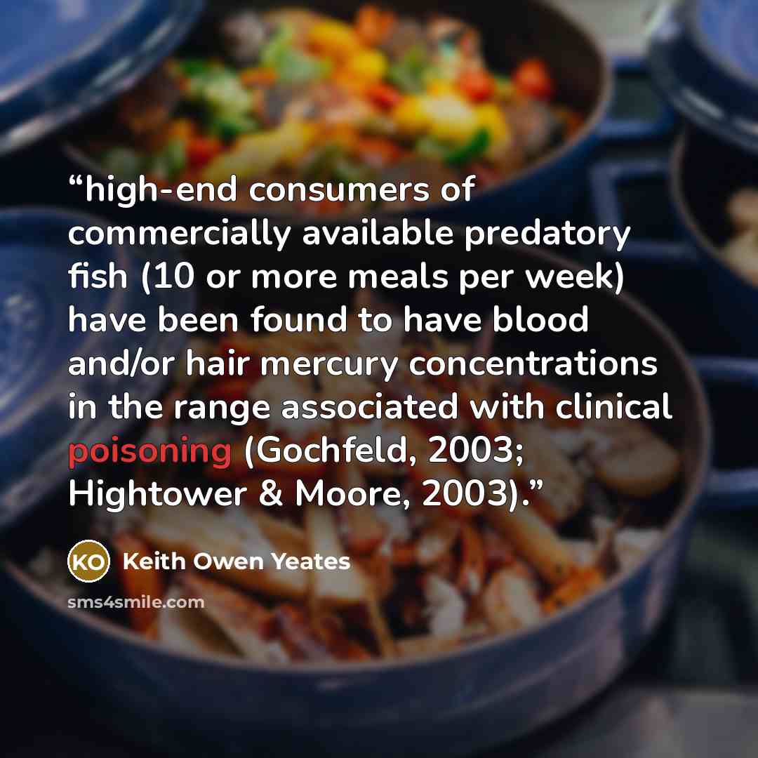 “high-end consumers of commercially available predatory fish (10 or more meals per week) have been found to have blood and/or hair mercury concentrations in the range associated with clinical poisoning (Gochfeld, 2003; Hightower & Moore, 2003).” quote by Keith Owen Yeates
