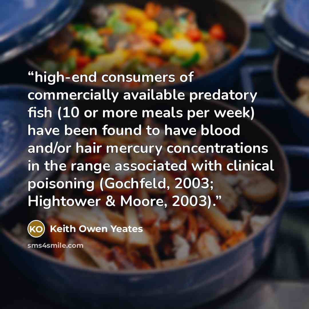 “high-end consumers of commercially available predatory fish (10 or more meals per week) have been found to have blood and/or hair mercury concentrations in the range associated with clinical poisoning (Gochfeld, 2003; Hightower & Moore, 2003).” quote by Keith Owen Yeates