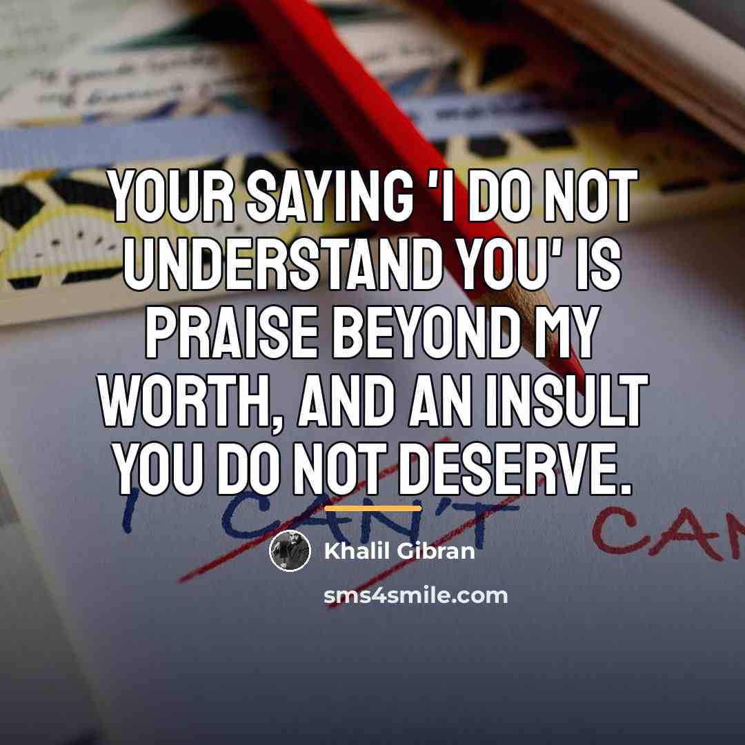 “Your saying 'I do not understand you' is praise beyond…” quote by Khalil Gibran