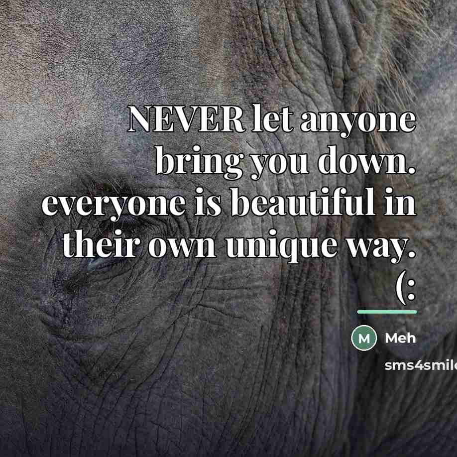 “NEVER let anyone bring you down. everyone is beautiful in…” quote by Meh