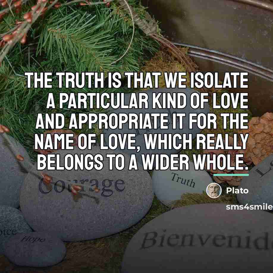 “The truth is that we isolate a particular kind of…” quote by Plato