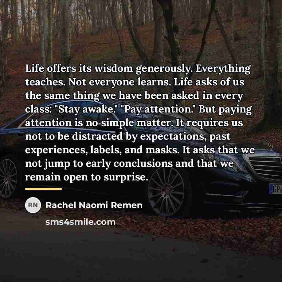 “Life offers its wisdom generously. Everything teaches. Not everyone learns.…” quote by Rachel Naomi Remen