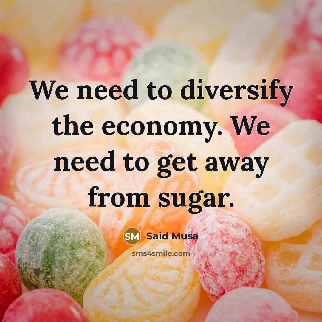 “We need to diversify the economy. We need to get…” quote by Said Musa