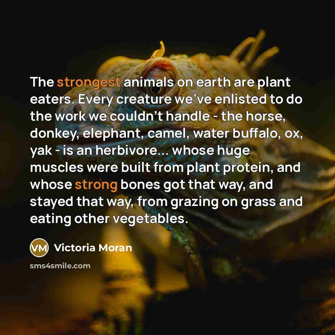 “The strongest animals on earth are plant eaters. Every creature…” quote by Victoria Moran