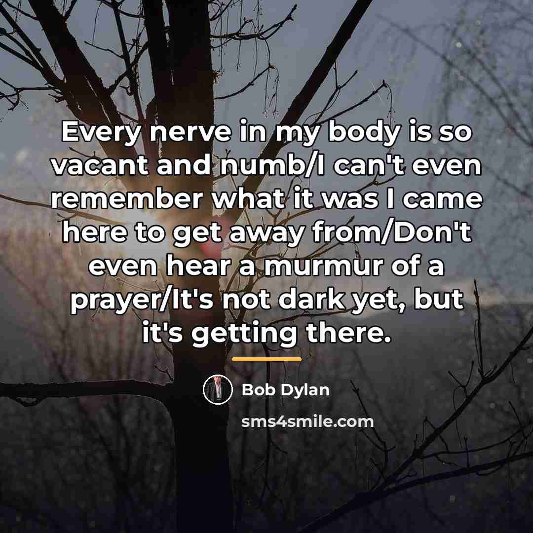 “Every nerve in my body is so vacant and numb/I…” quote by Bob Dylan