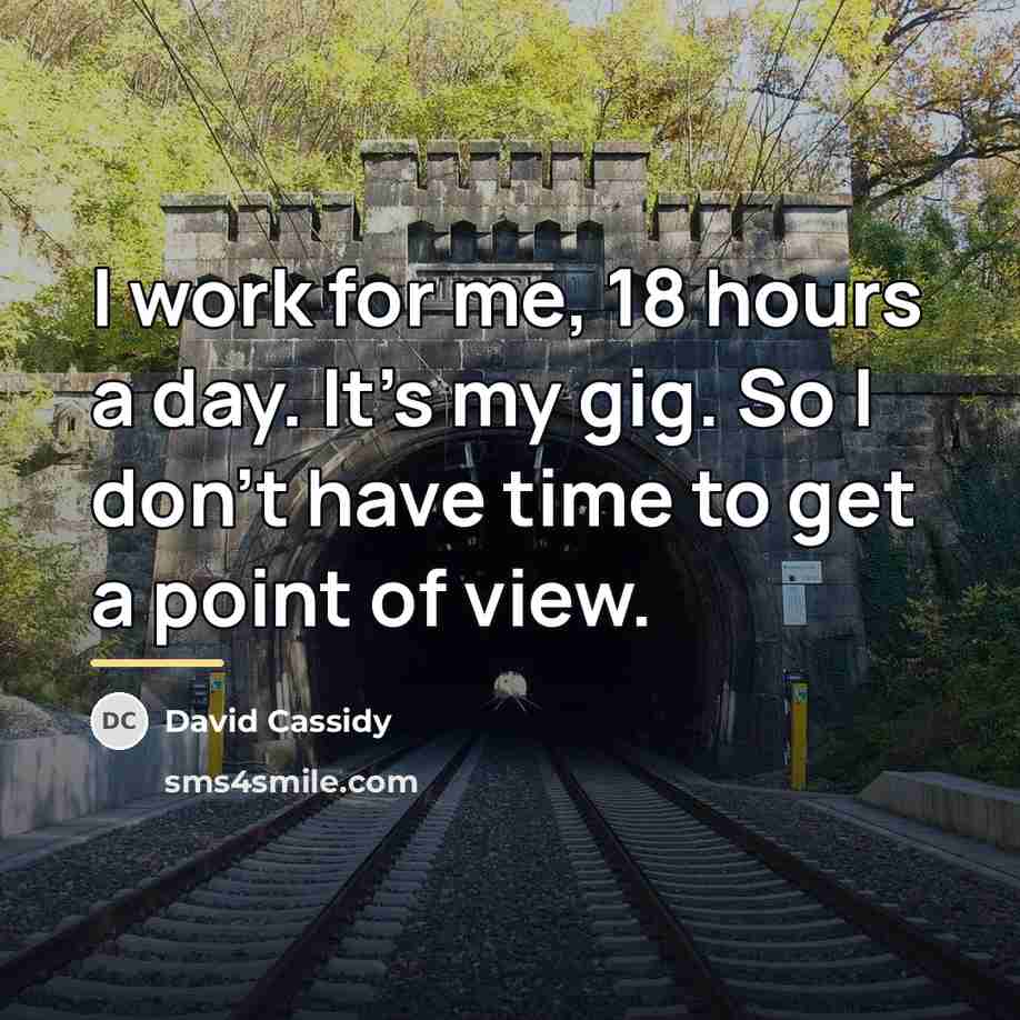 “I work for me, 18 hours a day. It's my…” quote by David Cassidy