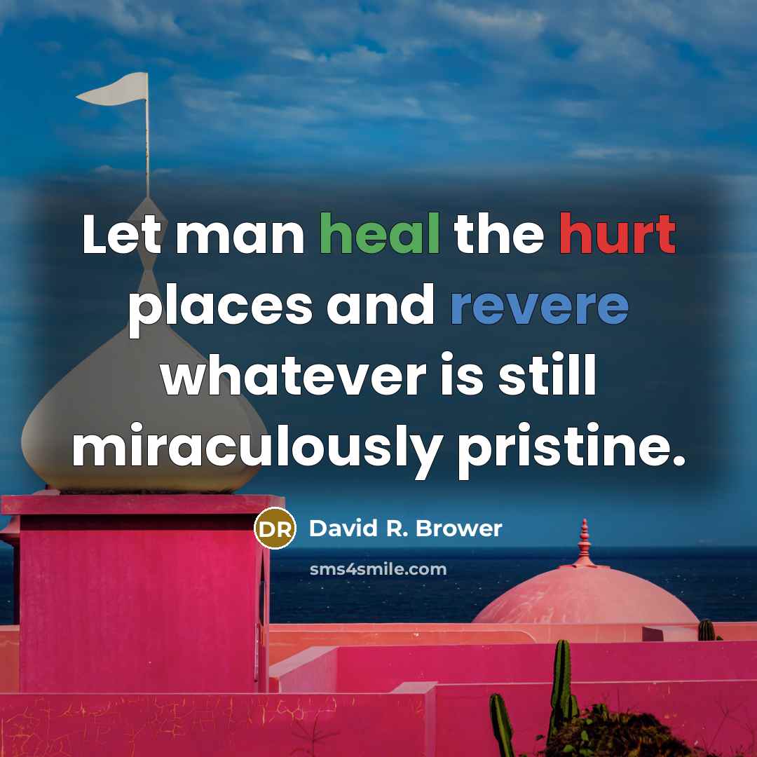 “Let man heal the hurt places and revere whatever is…” quote by David R. Brower