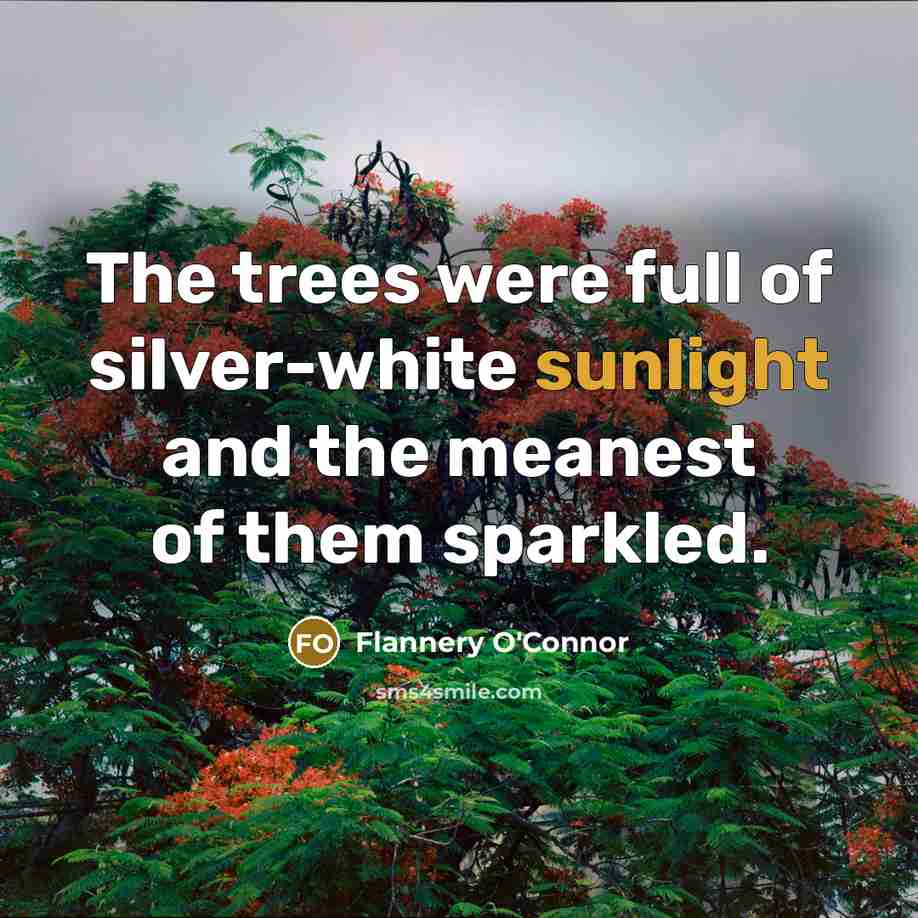 “The trees were full of silver-white sunlight and the meanest…” quote by Flannery O'Connor