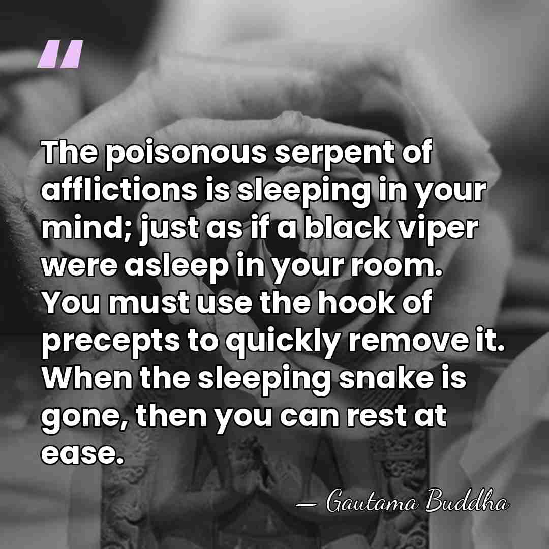 The poisonous serpent of afflictions is sleeping in your mind; just as&hellip; - Gautama Buddha