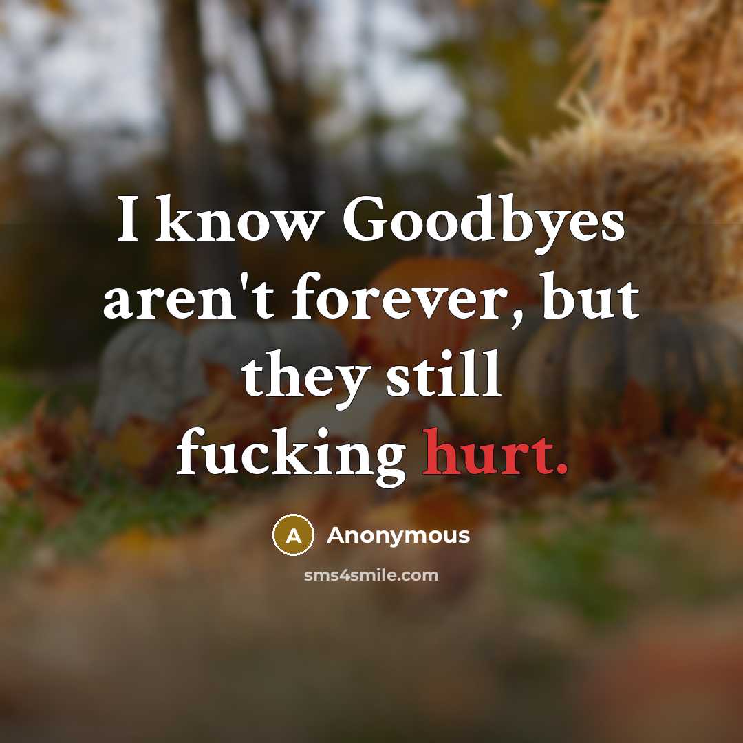 “I know Goodbyes aren't forever, but they still fucking hurt.…” quote by Anonymous