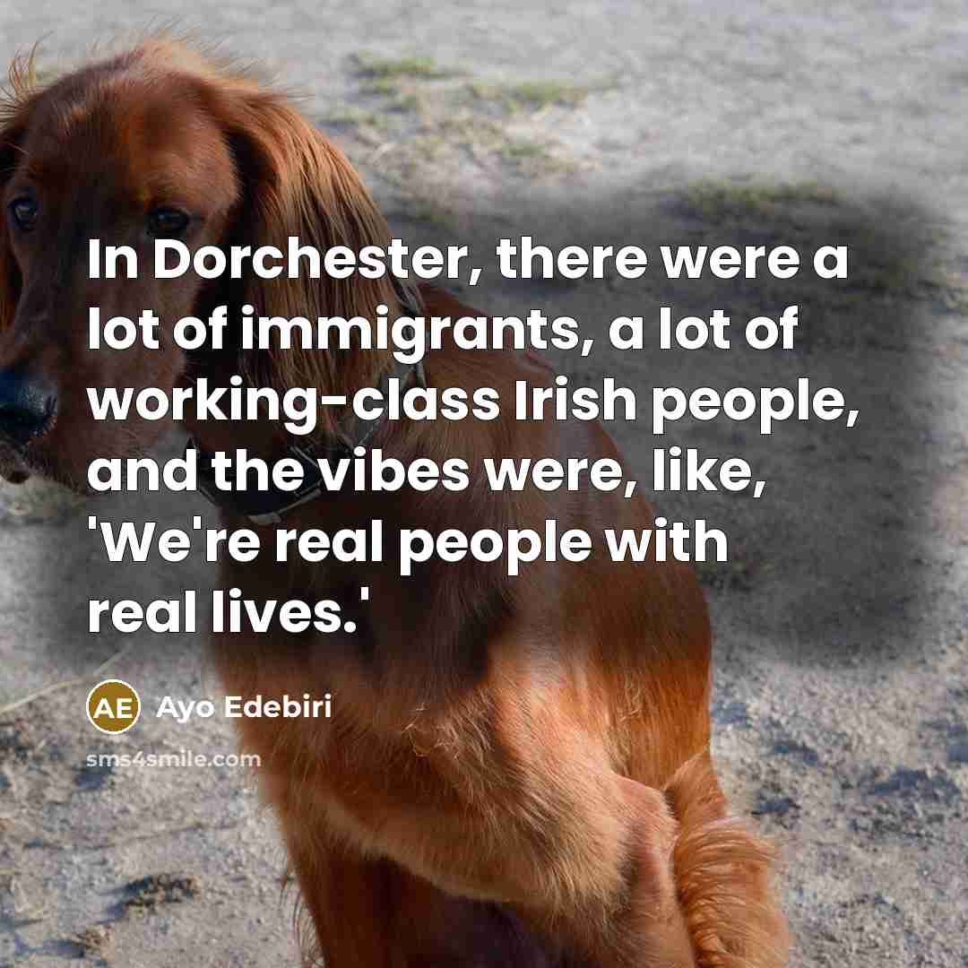 “In Dorchester, there were a lot of immigrants, a lot…” quote by Ayo Edebiri
